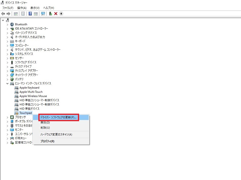 Select Update Driver Software