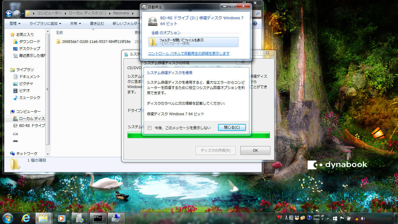 Success make a system repair disc