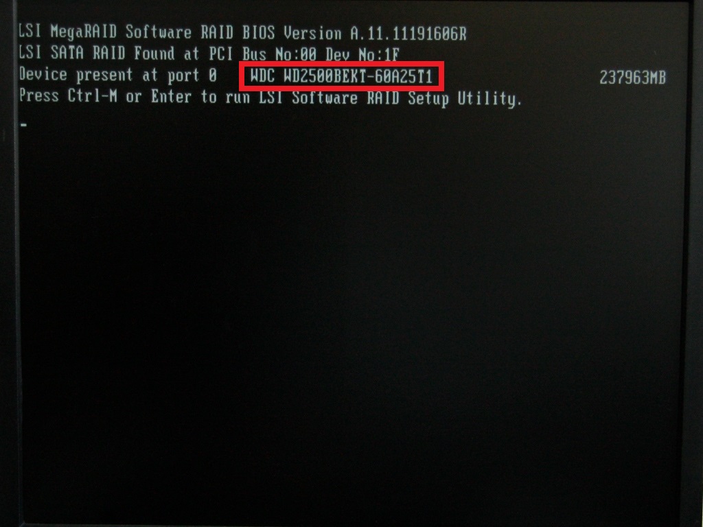 LSI RAID controller could find the HDD