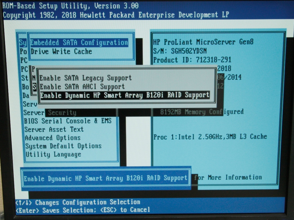 Select Enable Dynamic HP Smart Array B120i RAID Support